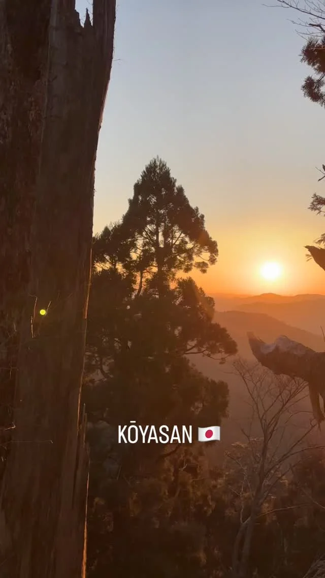 Un des lieux qui m’a le plus marqué au Japon, c’est bien Koyasan 🇯🇵🏯Ce village-temple, à 2h d’Osaka, est perdu dans les montagnes à 800m d’altitude. Il vous faudra plusieurs transferts dont un funiculaire pour y arriver, mais ça vaut le détour !Vous profiterez d’une atmosphère paisible et presque mystique.
Au programme :
🧘‍♀️ Dormir dans temple bouddhistes. Les moines vous y accueille, vous proposent un dîner végétarien et vous permettent d’assister aux prières de 6h du matin
🌄 Profitez du paysage et de la lumière dorée du lever du soleil
🪦Visite du cimetière d’Okunoin, avec ses 200 000 lanternes en pierre, enneigées à certaines périodes de l’année, sous des cèdres immenses.. C’est l’un des endroits les plus spirituels que j’ai visité au Japon✨Assez fréquenté en journée, surtout autour des temples. Marchez un peu, soyez matinal.. et vous serez quasi seulsVous connaissez Koyasan ? Vous l’aviez prévu dans votre itinéraire ?
💌 On en discute en DMRendez-vous vendredi pour l’itinéraire complet ! 🌍😍#japon #organisationvoyage #itineraire #roadtrip #travel